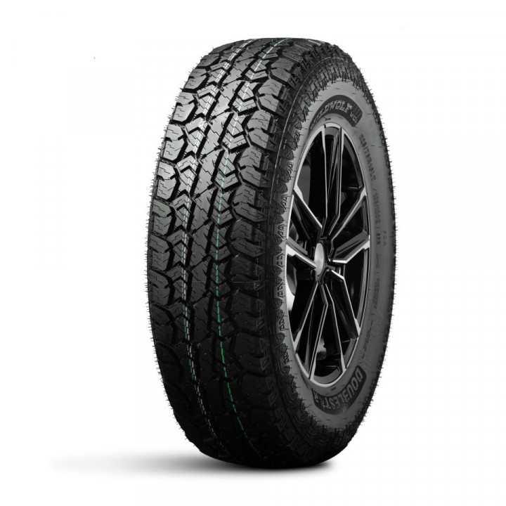 DoubleStar 225/65/17 T 102 W01