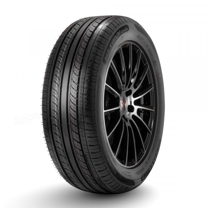Double Star 195/65/15 V 91 DH05