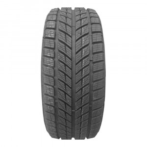 Double Star 245/45/18 T 96 DW09