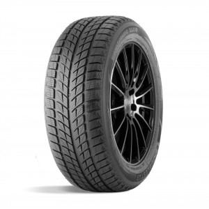 DoubleStar 275/45/20 H 110 DW09 XL